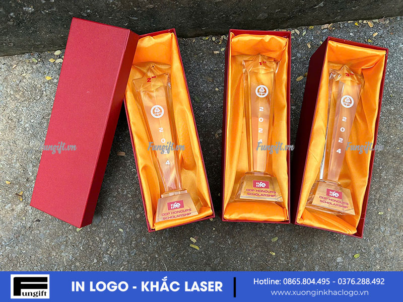 Hộp cúp vinh danh in giải thưởng
