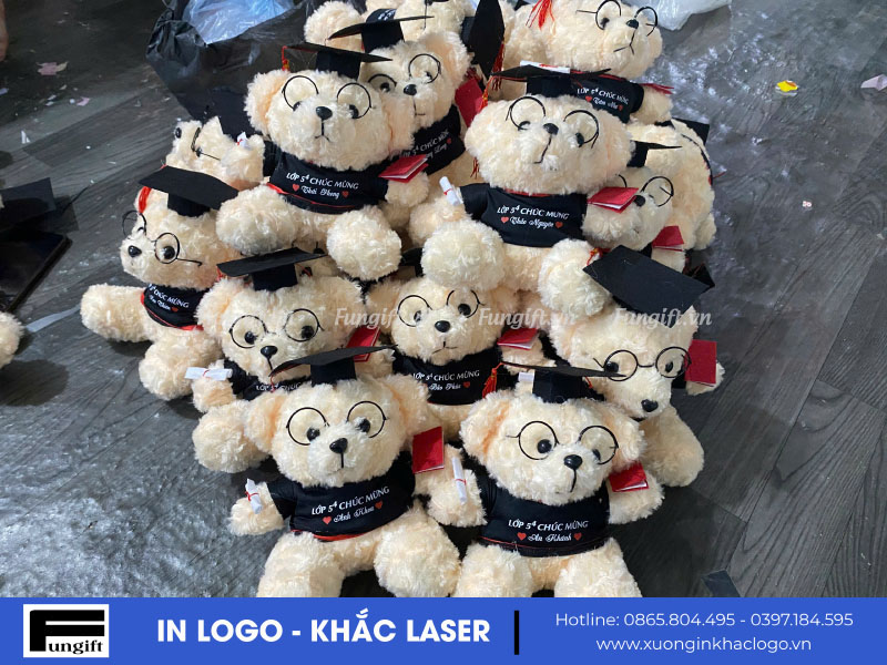 Mẫu gấu cử nhân in theo yêu cầu